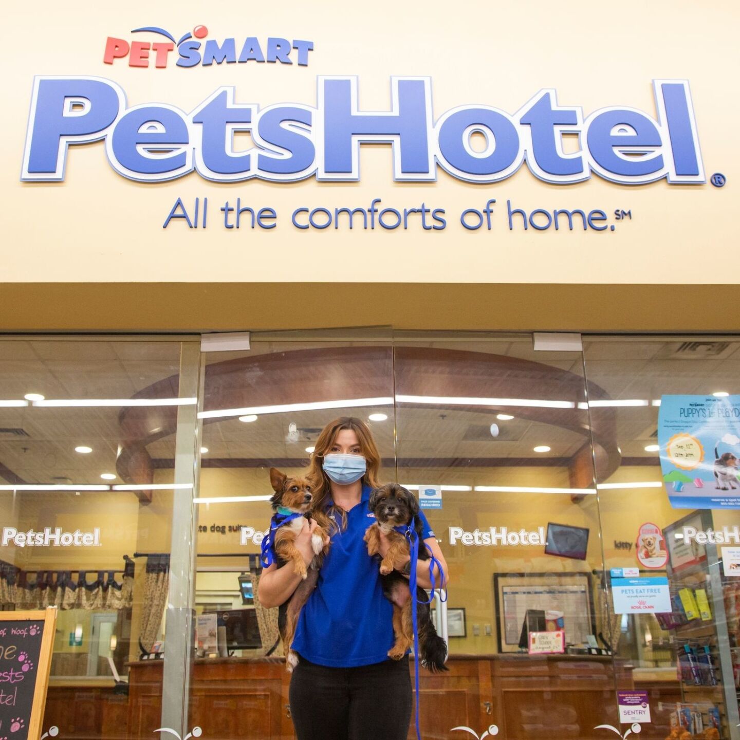 PetSmart-PetsHotel